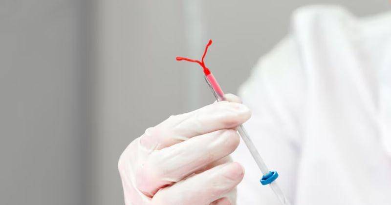 Freepik/user15145147